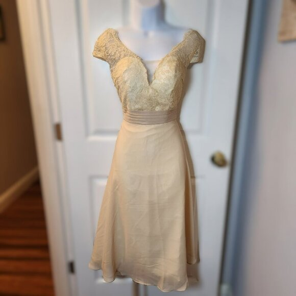 Warm Notices Champagne Lace & Chiffon Cocktail Dress Size 6 Elegant V-Neck - Picture 1 of 13